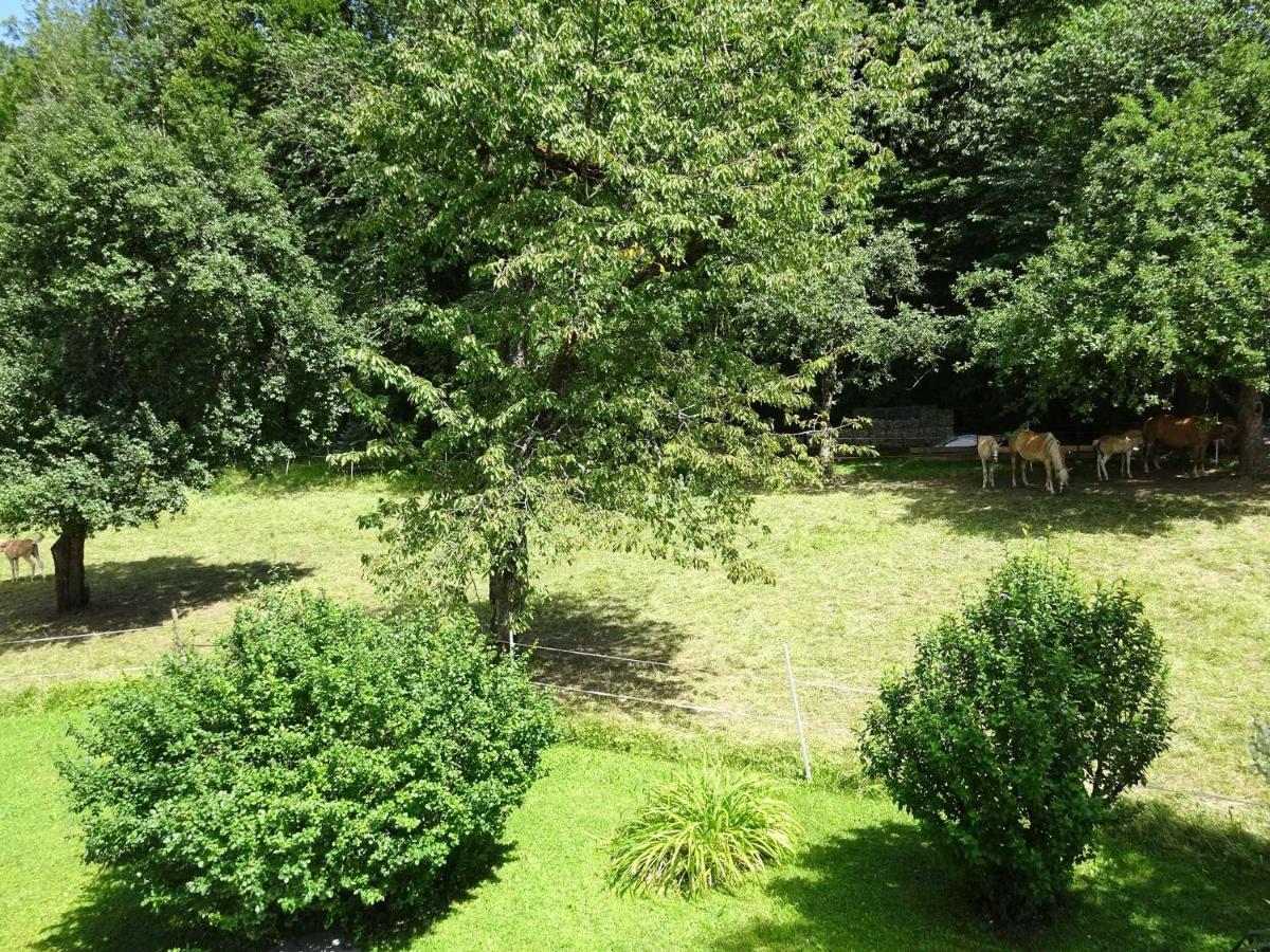 Ferienwohnungen Auhaus Bad Reichenhall Buitenkant foto
