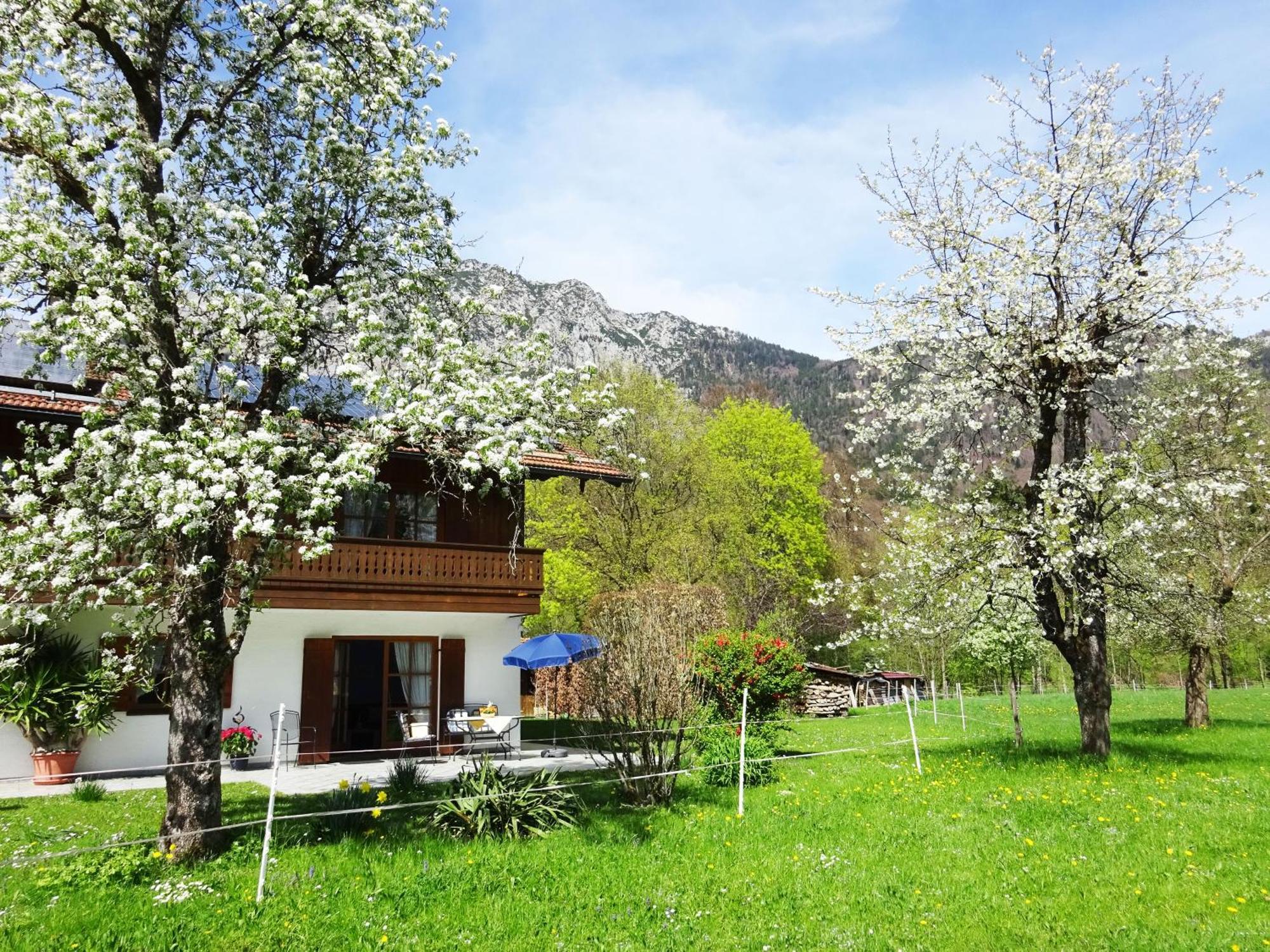 Ferienwohnungen Auhaus Bad Reichenhall Buitenkant foto