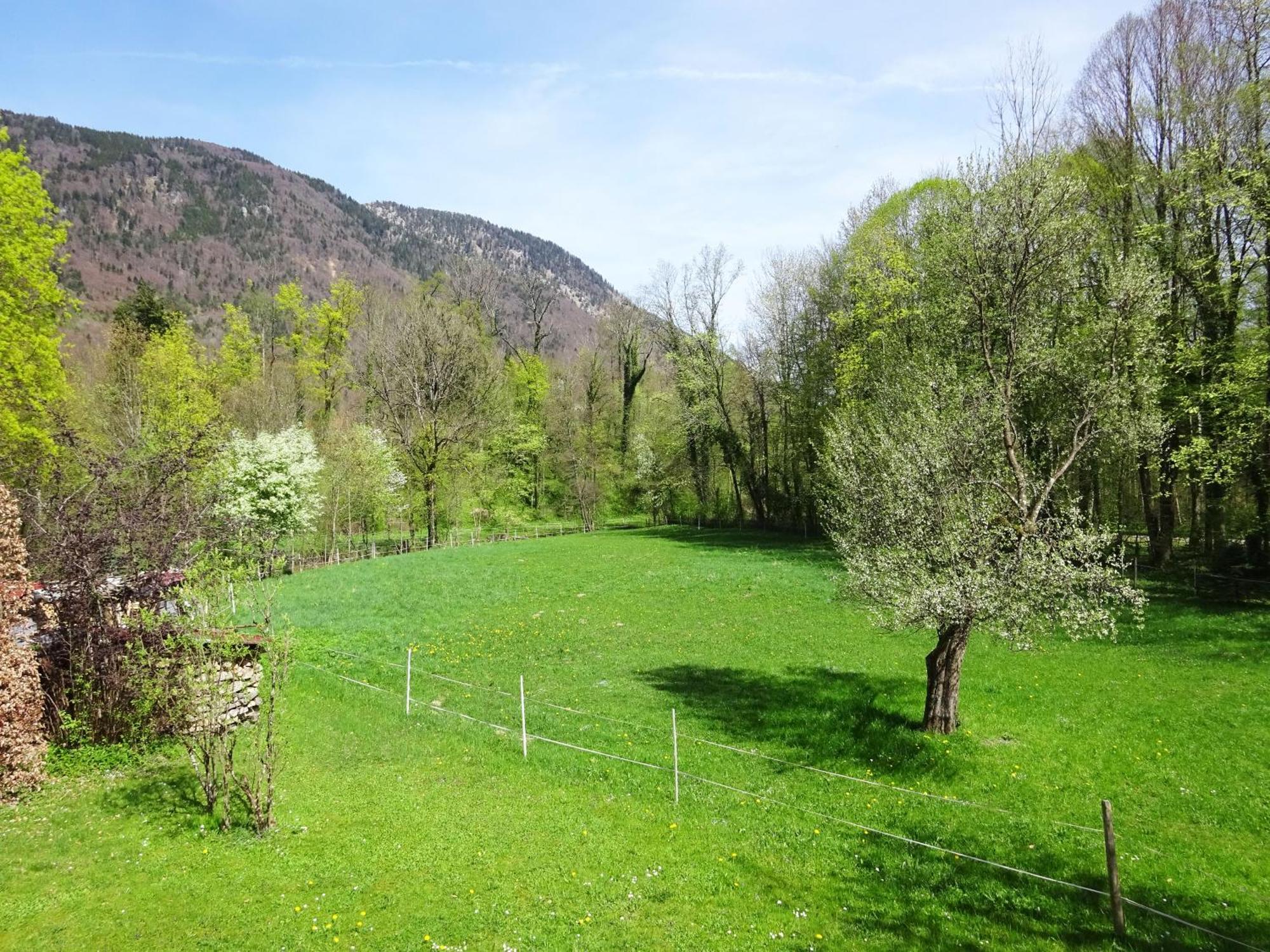 Ferienwohnungen Auhaus Bad Reichenhall Buitenkant foto